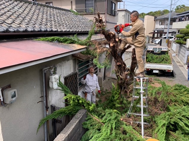 空家の植栽伐採工事