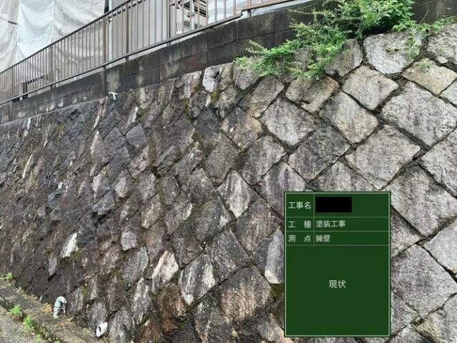 外壁のコケやカビについて