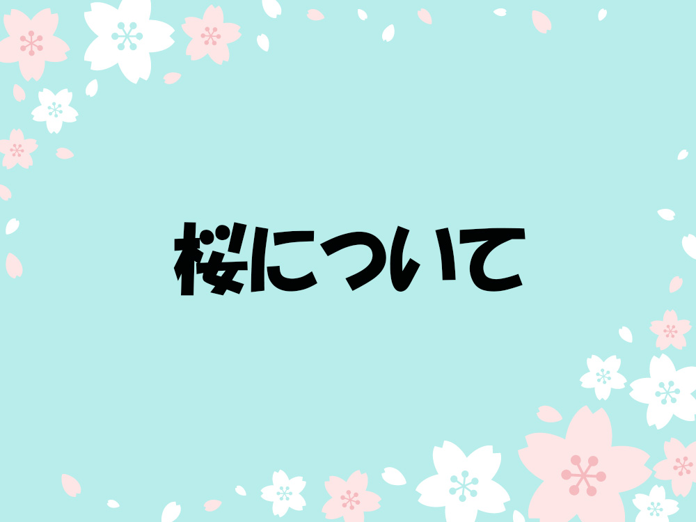 桜について