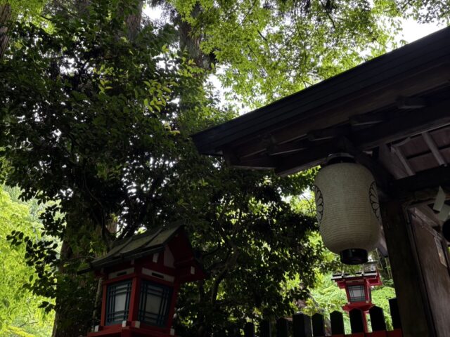 京都へ行ってきました✨