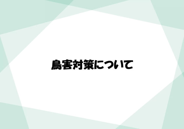 鳥害対策について